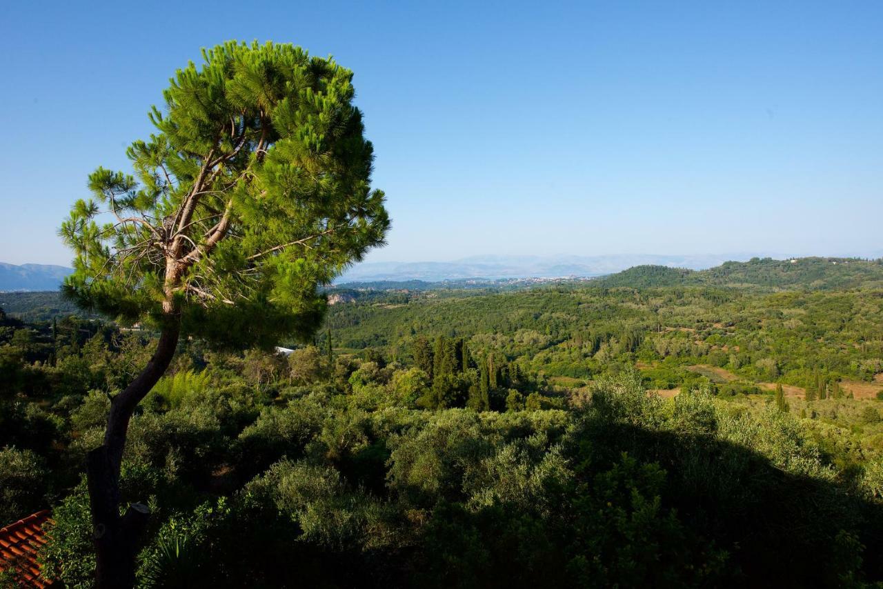 Aurora Apartment Corfu 佩雷卡斯 外观 照片